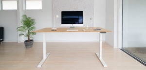 bamboo desk in office with mac and plant